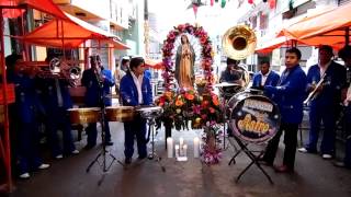 La Guadalupana con la banda Astro [upl. by Yann707]