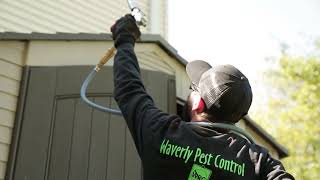 Waverly Pest Control Wappingers Falls New York 12590 [upl. by Ardnayek]