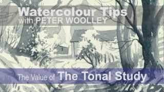 Watercolour Tip from PETER WOOLLEY The Value of The Tonal Study [upl. by Chrisse]