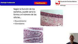 Histología Epitelios Glandulares [upl. by Charley622]