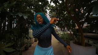 REMA  DUMEBI DANCE VIDEO By Sophiaofficialxo [upl. by Kyd]