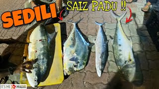 SEDILI quotreturn tripquot May 2023  Boat Fishing Malaysia [upl. by Vassily]