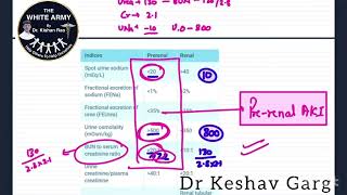 Prerenal Vs Renal Acute Kidney Injury [upl. by Aneroc]