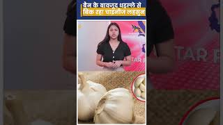 Ban के बावजूद धड़ल्ले से बिक रहा Chinese Garlic। [upl. by Ekoorb]