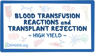 Blood transfusion reactions and transplant rejection Pathology Review [upl. by Orips]