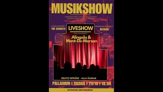 MUSIKSHOW [upl. by Leirum]