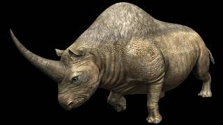 Elasmotherium Caucasicum Siberian Unicorn Rhino Sounds JW [upl. by Tioneb]