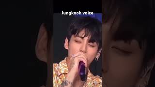 JUNGKOOK REAL VOICE [upl. by Watts521]