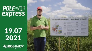 Ochrona i nawożenie rzepaku ozimego  POLE express Agrosimex [upl. by Benedict313]