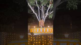 Mahabodhi Buddha vihar secunderabad shakyamunibuddha india shakyamunibiographyofbuddh563 [upl. by Ahsenyl]