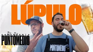 ¿QUÉ ES EL LÚPULO  Punto Medio [upl. by Talie]