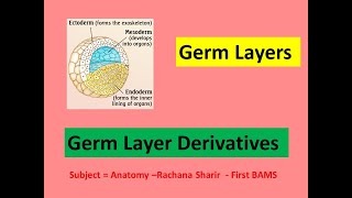 Gastrulation lGerm Layers l Germ layer derivatives l Ectoderm l Mesoderm l Endoderm l Mnemonics l [upl. by Latsyrcal]