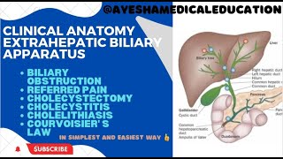 Clinical anatomy of GALLBLADDER and EXTRAHEPATIC BILIARY APPARATUS  ayeshamedicaleducation [upl. by Brian]