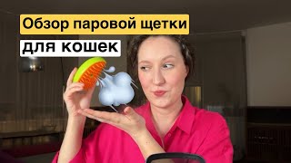 Обзор паровой щетки для вычесывания кота [upl. by Garrot]