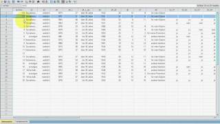 SPSS VideoSeminar  Teil 17 Datenexploration  doppelte Fälle ermitteln [upl. by Laekcim]