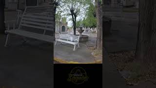 SEPULTURERO VEÍA NIÑA EN EL PANTEÓN shortvideo actividadparanormal recorridoparanormal [upl. by Erodoeht]