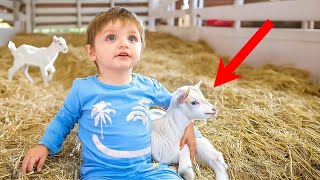 Baby Noah Meets Baby Goats for the First Time emotional [upl. by Tabbi314]