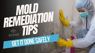 Mold Remediation 101 EXPERT Tips for a Healthy Home [upl. by Dielle]