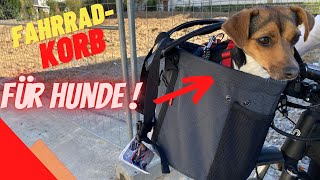 Fahrradkorb für Hunde – KLICKfix [upl. by Yehudit]