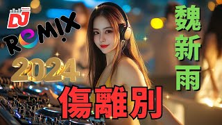 魏新雨  傷離別 DJ抖音 Remix『你離開以後天空飄起了大雪 我等你年年花開花謝』【動態歌詞  Lyrics Video】2024最火歌曲DJ Remix [upl. by Raff]