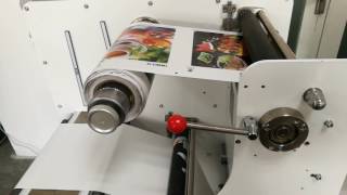 Color DLP VP320 DIGITAL LABEL PRINTING MACHINE [upl. by Rawdin350]