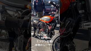 【HD】XR750 レーサー エンジン音 harleydavidson track xr750 custommotorcycle shovelhead [upl. by Han]