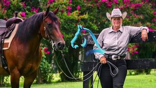 Exercices déquilibre pour votre cheval au galop [upl. by Nahtnamas165]