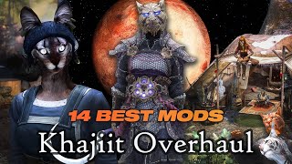 Improving The Khajiit of Skyrim — 14 Best Khajiit Mods Compilation [upl. by Xylon]