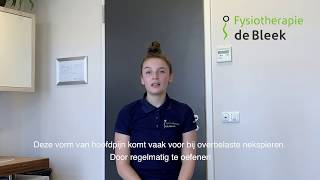 Fysiotherapie de Bleek oefeningen voor thuis Nekstabilisatie [upl. by Ahsein342]