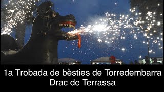 1a Trobada de bèsties de Torredembarra  Drac de Terrassa [upl. by Saffren]