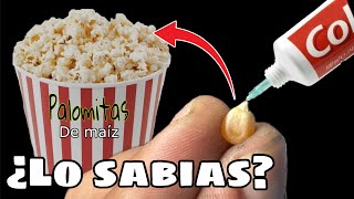 Mezcla PALOMITAS DE MAÍZ con PASTA DENTAL y Te Sorprenderás POCOS LO SABEN [upl. by Nedle262]