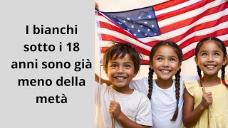 USA nel 2045 i bianchi non saranno più maggioranza [upl. by Jesher]