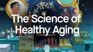 The Science of Healthy Aging Six Keys to a Long Healthy Life [upl. by Mcconaghy420]