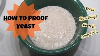 How To Proof Yeast [upl. by Krakow]