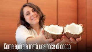 COME APRIRE una NOCE DI COCCO PERFETTAMENTE A METÀ  TUTORIAL e TIPS and TRICKS by PICCOLE RICETTE [upl. by Doley161]