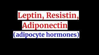 Leptin Adiponectin resistinadipocyte hormones [upl. by Ethyl305]