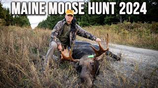 Quick Shot The Fastest Moose Hunt You’ll Ever See  Maine Moose Hunt 2024 [upl. by Eiramnwad]