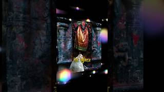 Hey Mahaveer Karo Kalyan  Ayodhya Sanatan Dham shorts short shortsvideo [upl. by Eaneg98]