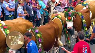 Zentralschweizerisches Jodlerfest Horw [upl. by Tallulah]