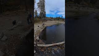 Angelus Oaks Santa Ana River rainbowtrout santaanariver [upl. by Asiluj678]