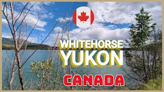 Whitehorse 🐎🐴 Yukon Canada [upl. by Tartaglia91]