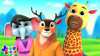 Zoo Song Animal Song and Nursery Rhyme for Babies [upl. by Eldon411]