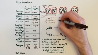 Twin Genetics and Types of Twins [upl. by Illac597]