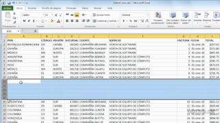 Cómo insertar columnas y filas en Excel [upl. by Zedekiah362]