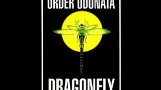 Dragonfly Records Order Odonata 1994 Vol1 [upl. by Niahs]