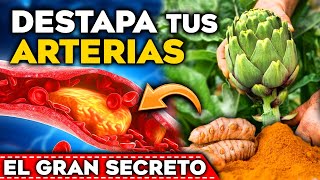 ¡LIMPIA tus ARTERIAS Come estos 4 ALIMENTOS y MIRA sus EFECTOS en tu CUERPO  BAJAR el COLESTEROL [upl. by Woodward]