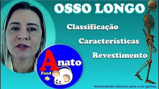 Ossificação  Parte 1  Quais são as características do osso longo [upl. by Alexandra]