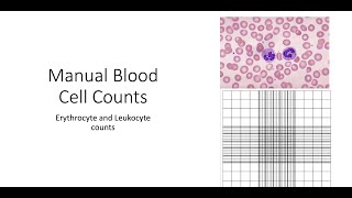 Manual Blood Cell counts [upl. by Tehr802]