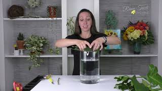 Leaf Liner for Vase Arrangements Framing Floral Techniques Companion Video [upl. by Elyrrad472]