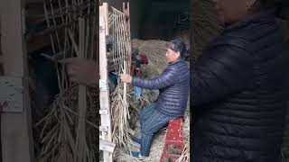 Traditional Craft of Straw Weaving [upl. by Rambort]